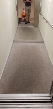 Wool loop carpet in apartment lift - before