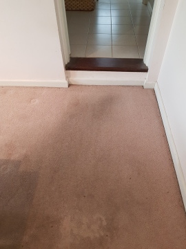 Synthetic Carpet - before